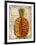 Pineapple-Kate Ward Thacker-Framed Giclee Print