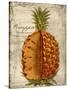 Pineapple-Kate Ward Thacker-Stretched Canvas