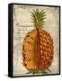 Pineapple-Kate Ward Thacker-Framed Stretched Canvas