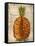 Pineapple-Kate Ward Thacker-Framed Stretched Canvas