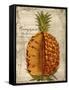 Pineapple-Kate Ward Thacker-Framed Stretched Canvas