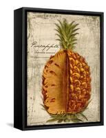 Pineapple-Kate Ward Thacker-Framed Stretched Canvas
