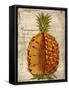 Pineapple-Kate Ward Thacker-Framed Stretched Canvas