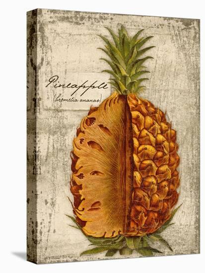 Pineapple-Kate Ward Thacker-Stretched Canvas