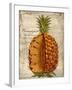 Pineapple-Kate Ward Thacker-Framed Giclee Print