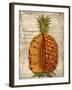 Pineapple-Kate Ward Thacker-Framed Giclee Print