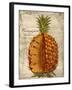 Pineapple-Kate Ward Thacker-Framed Giclee Print