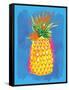 Pineapple-Sara Berrenson-Framed Stretched Canvas