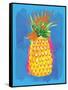 Pineapple-Sara Berrenson-Framed Stretched Canvas