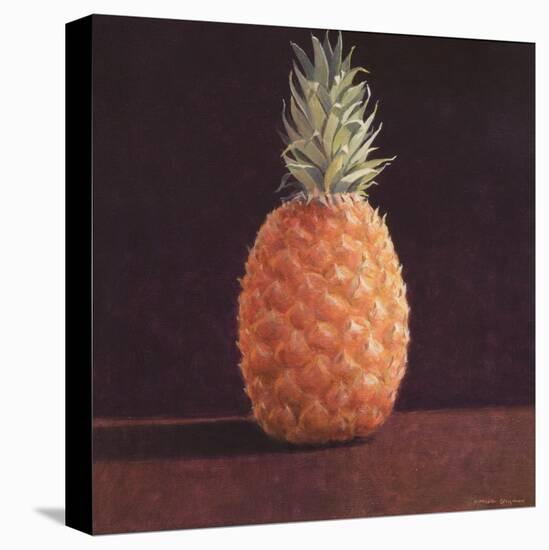 Pineapple-Lincoln Seligman-Stretched Canvas