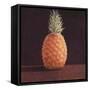 Pineapple-Lincoln Seligman-Framed Stretched Canvas