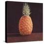 Pineapple-Lincoln Seligman-Stretched Canvas