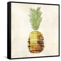 Pineapple-Kristin Emery-Framed Stretched Canvas