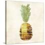 Pineapple-Kristin Emery-Stretched Canvas