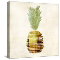 Pineapple-Kristin Emery-Stretched Canvas