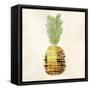 Pineapple-Kristin Emery-Framed Stretched Canvas