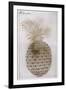 Pineapple-John White-Framed Giclee Print