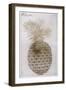 Pineapple-John White-Framed Giclee Print