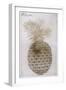 Pineapple-John White-Framed Giclee Print