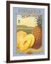 Pineapple-Kerne Erickson-Framed Art Print