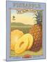 Pineapple-Kerne Erickson-Mounted Art Print