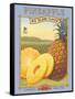 Pineapple-Kerne Erickson-Framed Stretched Canvas