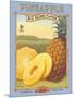 Pineapple-Kerne Erickson-Mounted Art Print