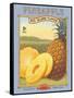 Pineapple-Kerne Erickson-Framed Stretched Canvas