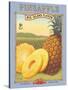 Pineapple-Kerne Erickson-Stretched Canvas