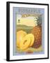 Pineapple-Kerne Erickson-Framed Art Print