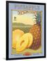 Pineapple-Kerne Erickson-Framed Art Print