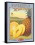 Pineapple-Kerne Erickson-Framed Stretched Canvas