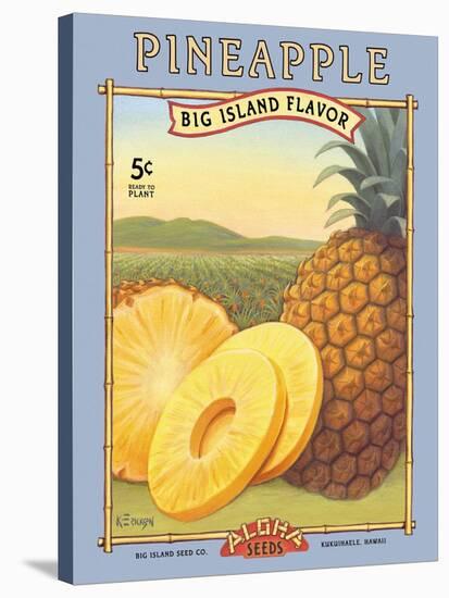 Pineapple-Kerne Erickson-Stretched Canvas