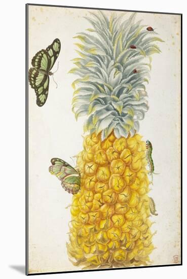 Pineapple-Maria Sibylla Merian-Mounted Art Print