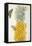 Pineapple-Maria Sibylla Merian-Framed Stretched Canvas