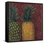 Pineapples, 1999-Pedro Diego Alvarado-Framed Stretched Canvas