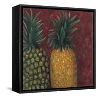 Pineapples, 1999-Pedro Diego Alvarado-Framed Stretched Canvas