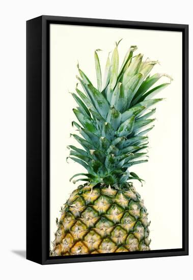 Pineapples, Detail, South-Fruit, Fruit, Collective-Fruit-Herbert Kehrer-Framed Stretched Canvas