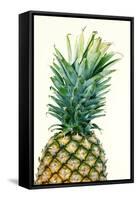 Pineapples, Detail, South-Fruit, Fruit, Collective-Fruit-Herbert Kehrer-Framed Stretched Canvas