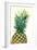 Pineapples, Detail, South-Fruit, Fruit, Collective-Fruit-Herbert Kehrer-Framed Photographic Print