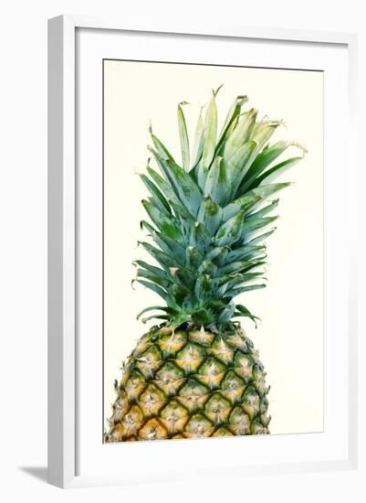 Pineapples, Detail, South-Fruit, Fruit, Collective-Fruit-Herbert Kehrer-Framed Photographic Print