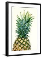 Pineapples, Detail, South-Fruit, Fruit, Collective-Fruit-Herbert Kehrer-Framed Photographic Print