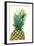 Pineapples, Detail, South-Fruit, Fruit, Collective-Fruit-Herbert Kehrer-Framed Photographic Print