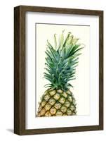 Pineapples, Detail, South-Fruit, Fruit, Collective-Fruit-Herbert Kehrer-Framed Photographic Print