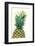 Pineapples, Detail, South-Fruit, Fruit, Collective-Fruit-Herbert Kehrer-Framed Photographic Print