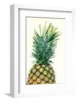 Pineapples, Detail, South-Fruit, Fruit, Collective-Fruit-Herbert Kehrer-Framed Photographic Print