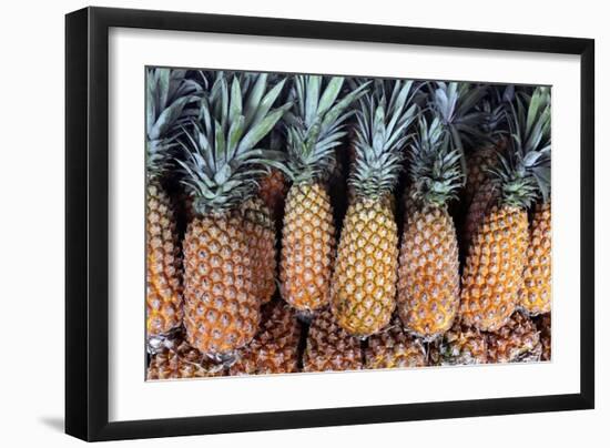 Pineapples Grown in the Amazon, Manaus, Brazil-Kymri Wilt-Framed Photographic Print