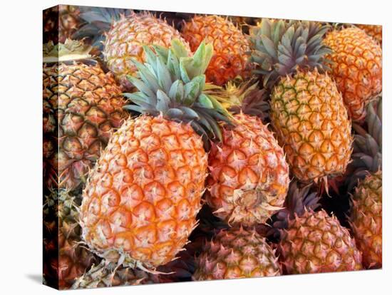 Pineapples, Sunshine Coast, Queensland, Australia-David Wall-Stretched Canvas