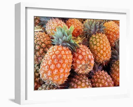 Pineapples, Sunshine Coast, Queensland, Australia-David Wall-Framed Premium Photographic Print