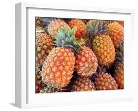 Pineapples, Sunshine Coast, Queensland, Australia-David Wall-Framed Premium Photographic Print